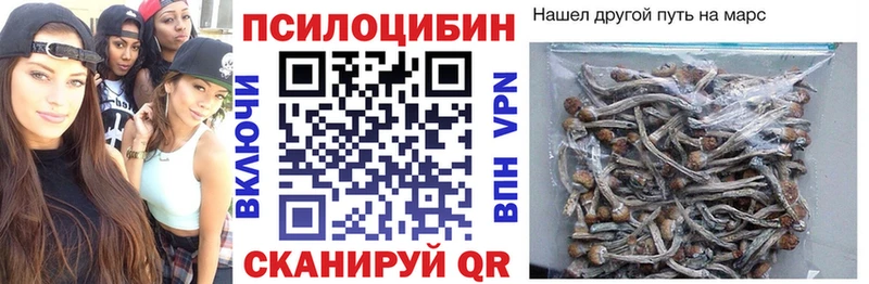 Псилоцибиновые грибы Psilocybine cubensis  блэк спрут   Нюрба  хочу наркоту 